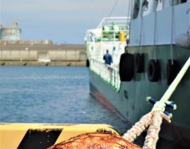 船乗りになるために陸運局行ってきたけど船乗るの楽しそうだった