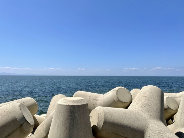 【画像】おい、Amazonにテトラポット売ってんぞ！？