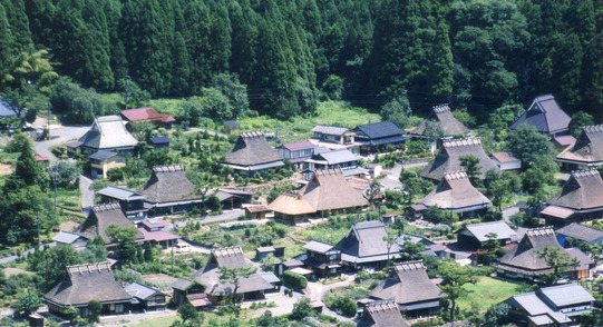 【悲報】京都府南丹市の山林、ゴミ捨て場にされる