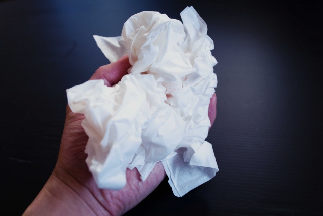 【悲報】ワイ、セレナで抜きまくってしまう